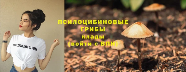 твердый Абаза