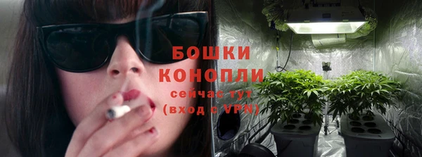 твердый Абаза