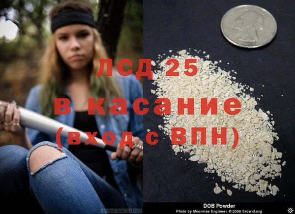 твердый Абаза