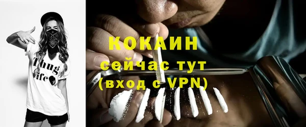 твердый Абаза