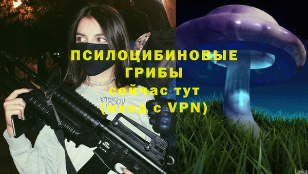 твердый Абаза