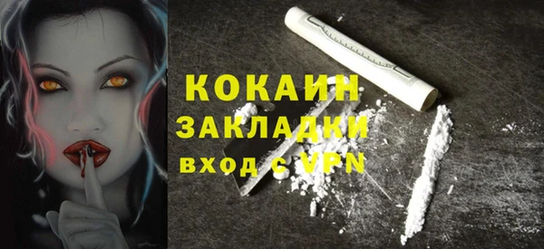 твердый Абаза